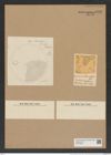 Eupodiscus trioculatus Grev. (de-Toni-Nr.: Genus 177, Species 4463) Zeichnungen Sammlung Grunow Nr. 8030 (NHMW-BOT-W0377338)
